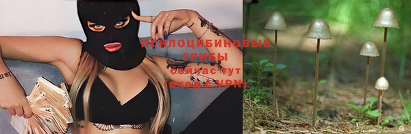 метадон Горнозаводск