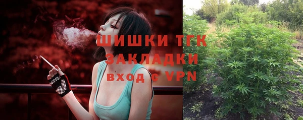 дмт Вяземский